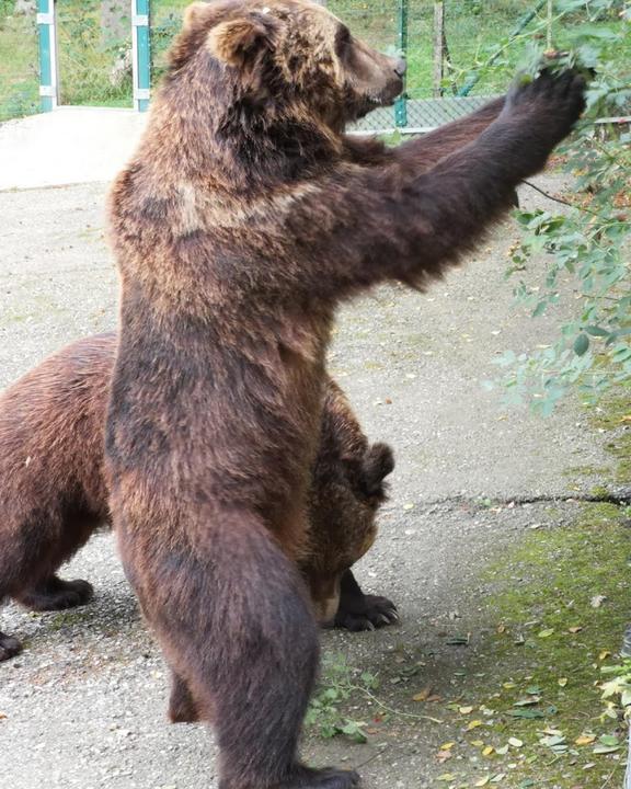 Wild- Und Freizeitpark